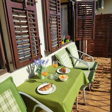 Apartman Niko *