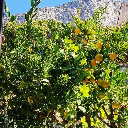 Apartmán Niko Omiš
